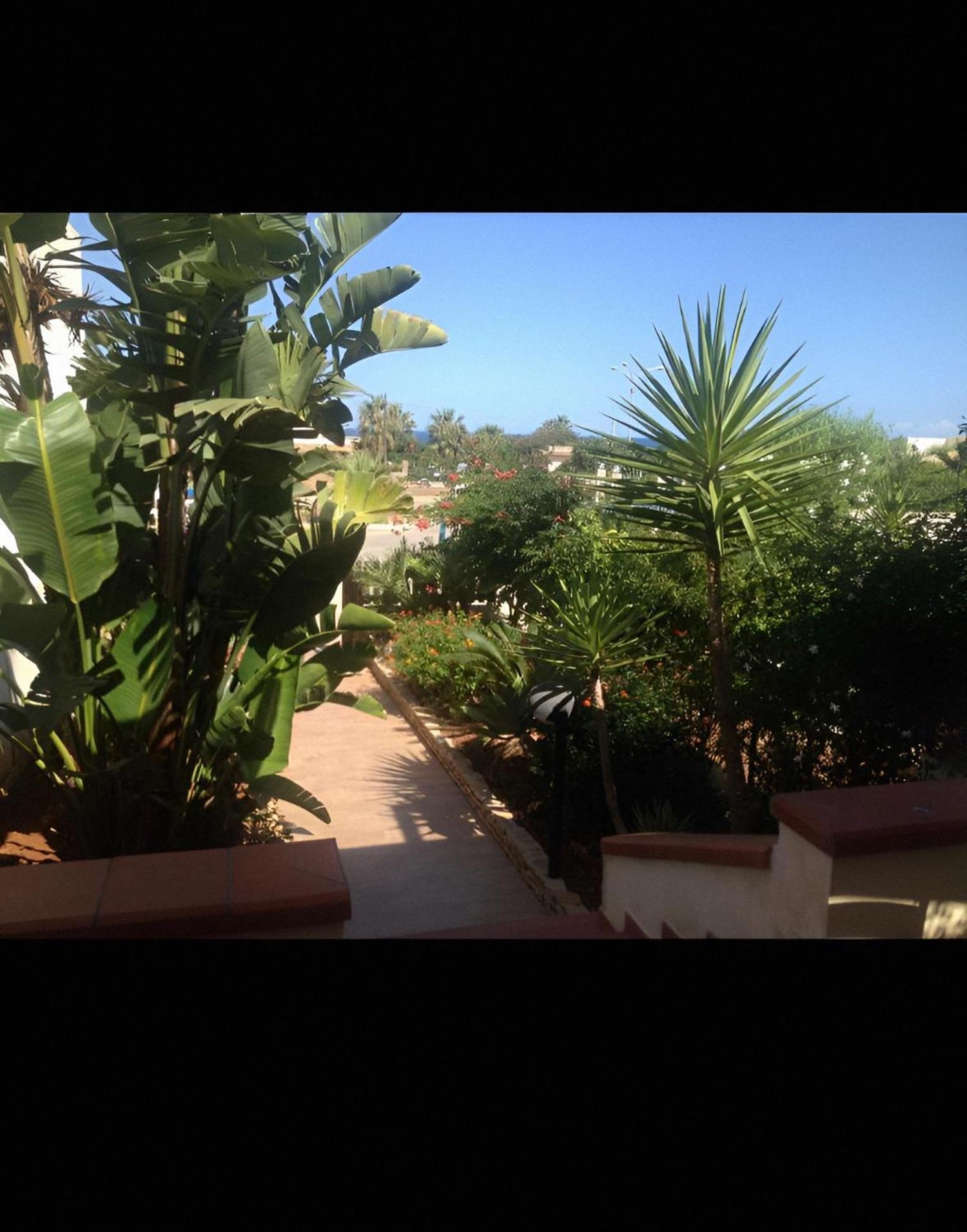 Villa Le Palme San Vito Lo Capo Exterior foto